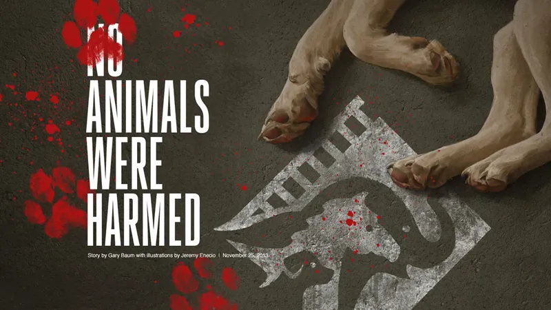animals_movies_tv_shows.png