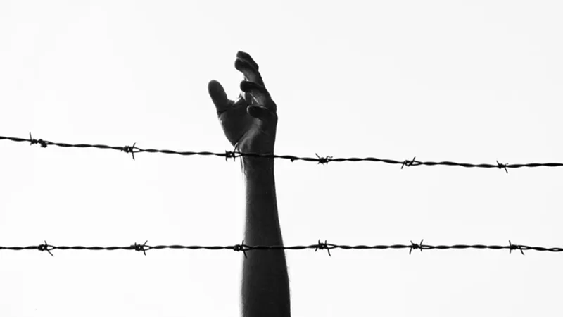 barbed_wire02.png