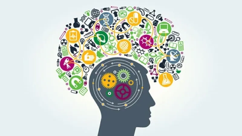 feed_brain02.jpg