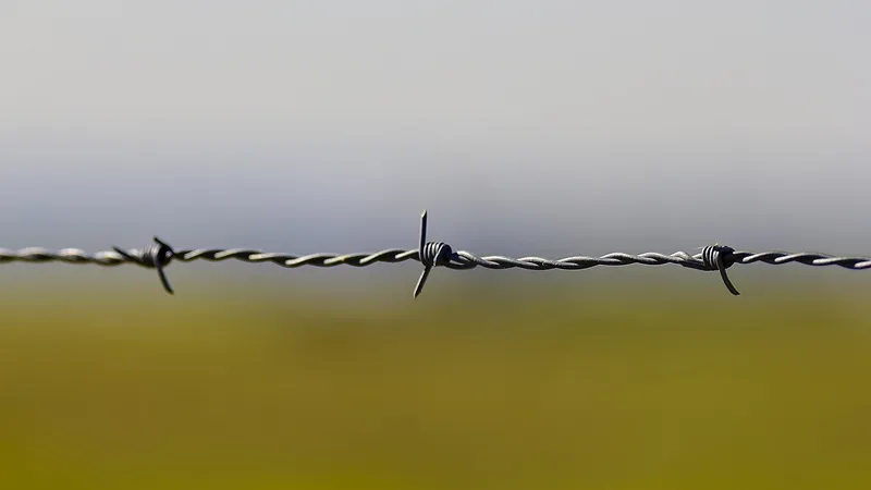 barbed_wire.jpg