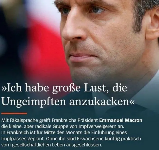 grafik.png