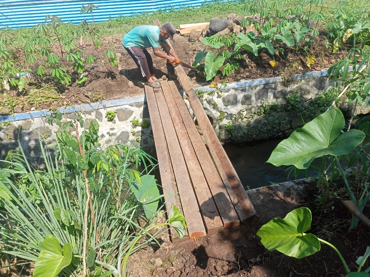proyek 01.jpg