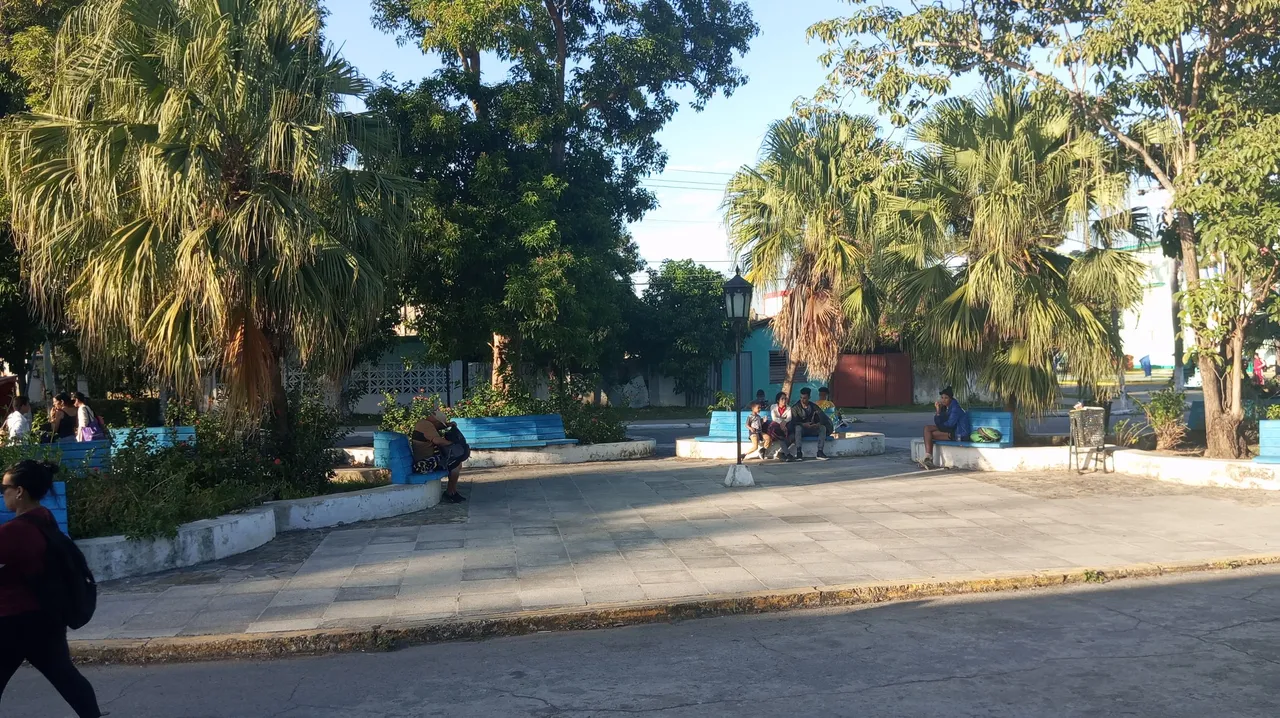 1000313516.jpg
