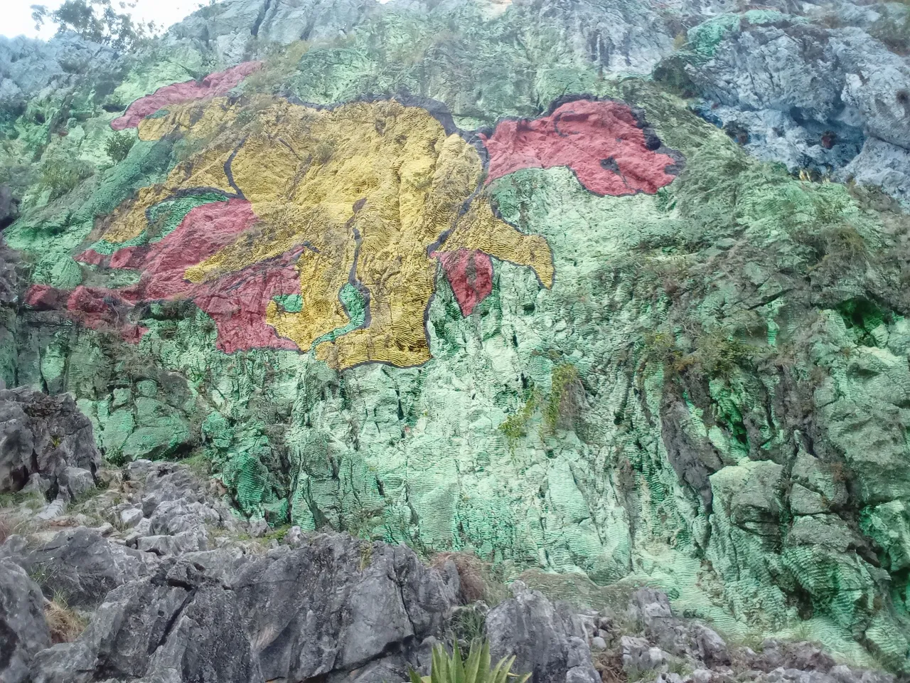 1000545719.jpg