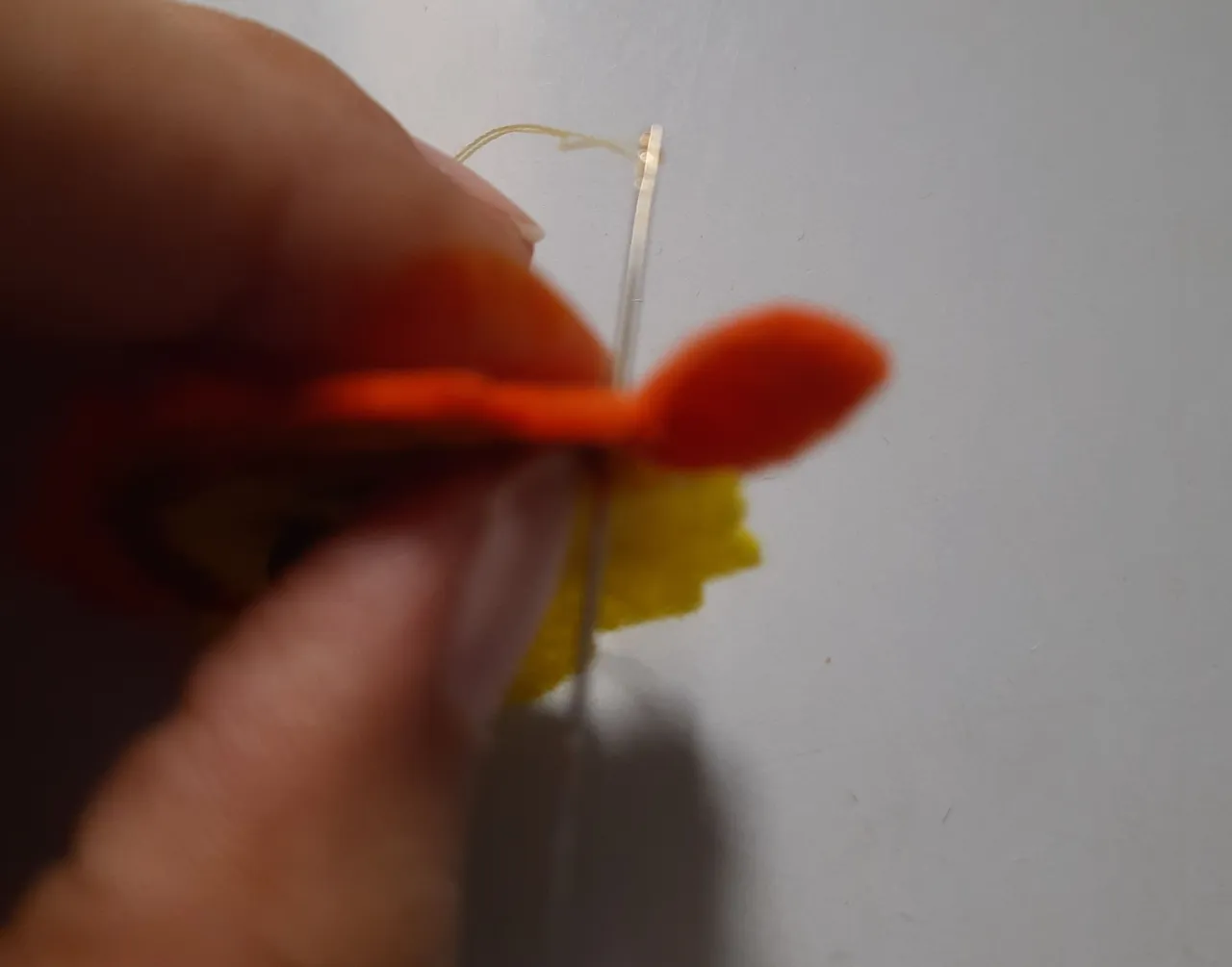 20240615_105937.jpg