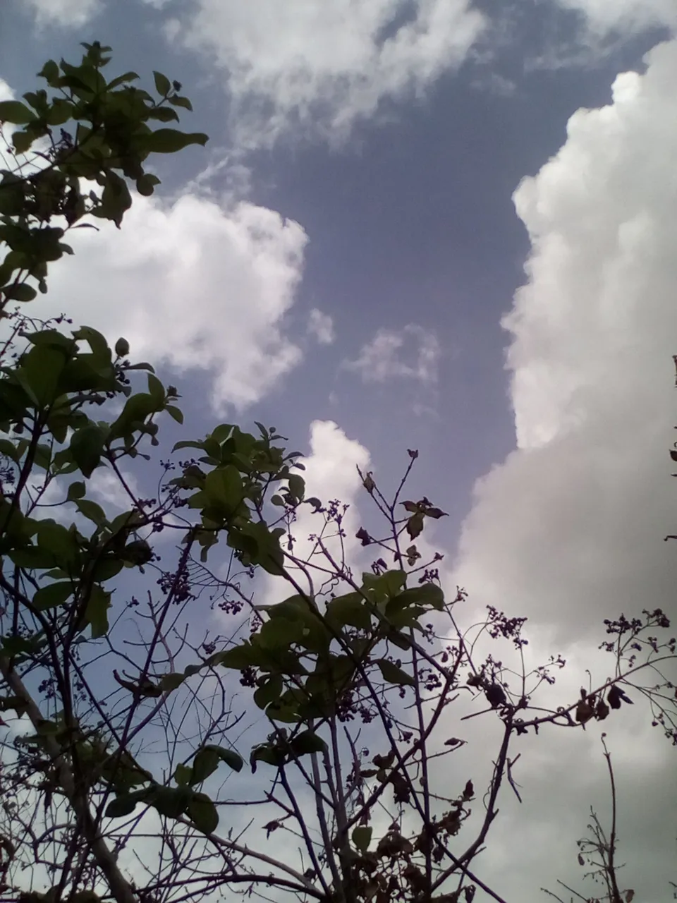 fotos 6 041.jpg