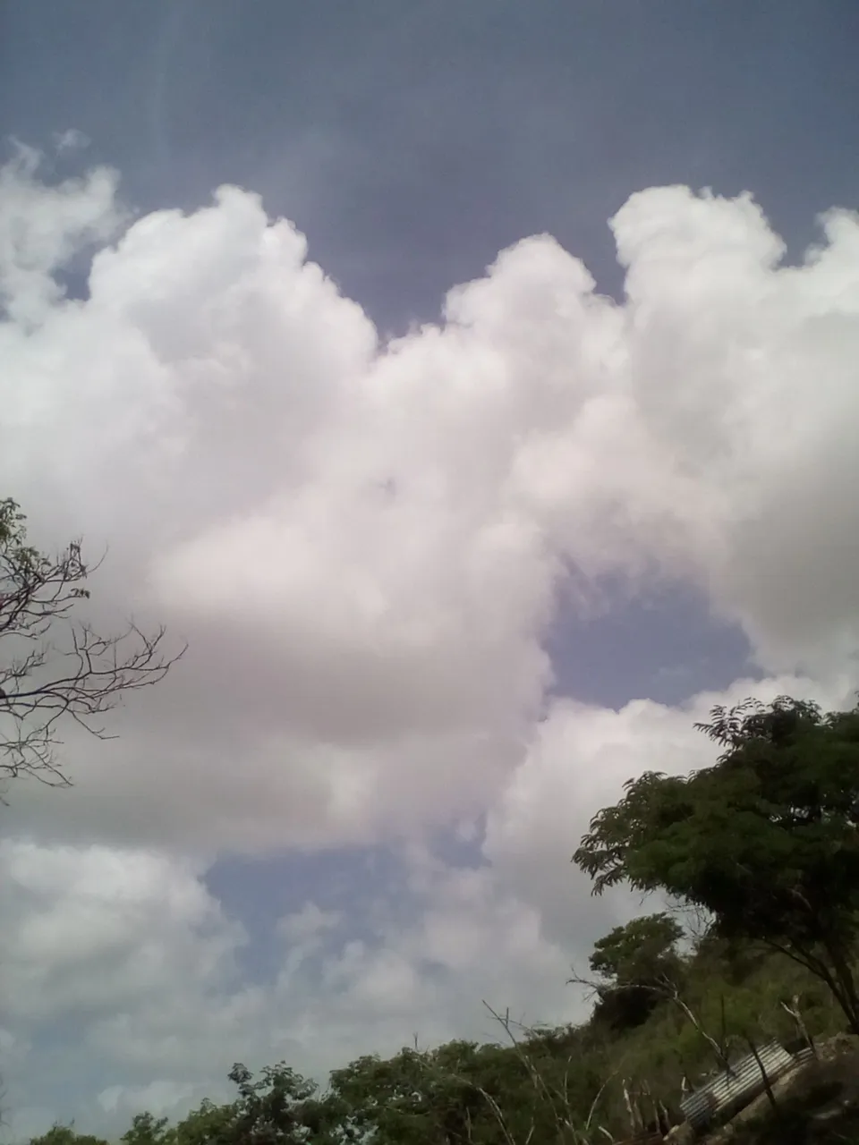 fotos 6 059.jpg