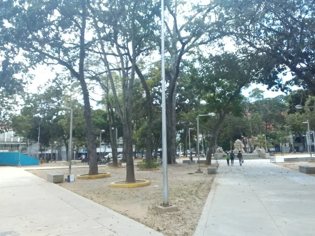 IMAGEN EJE CULTURAL 28.jpg
