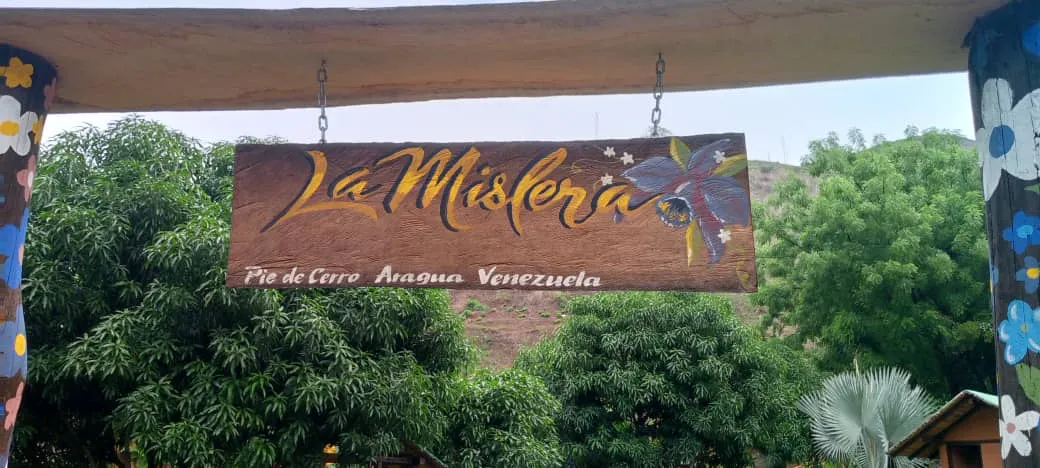 la mislera.jpeg