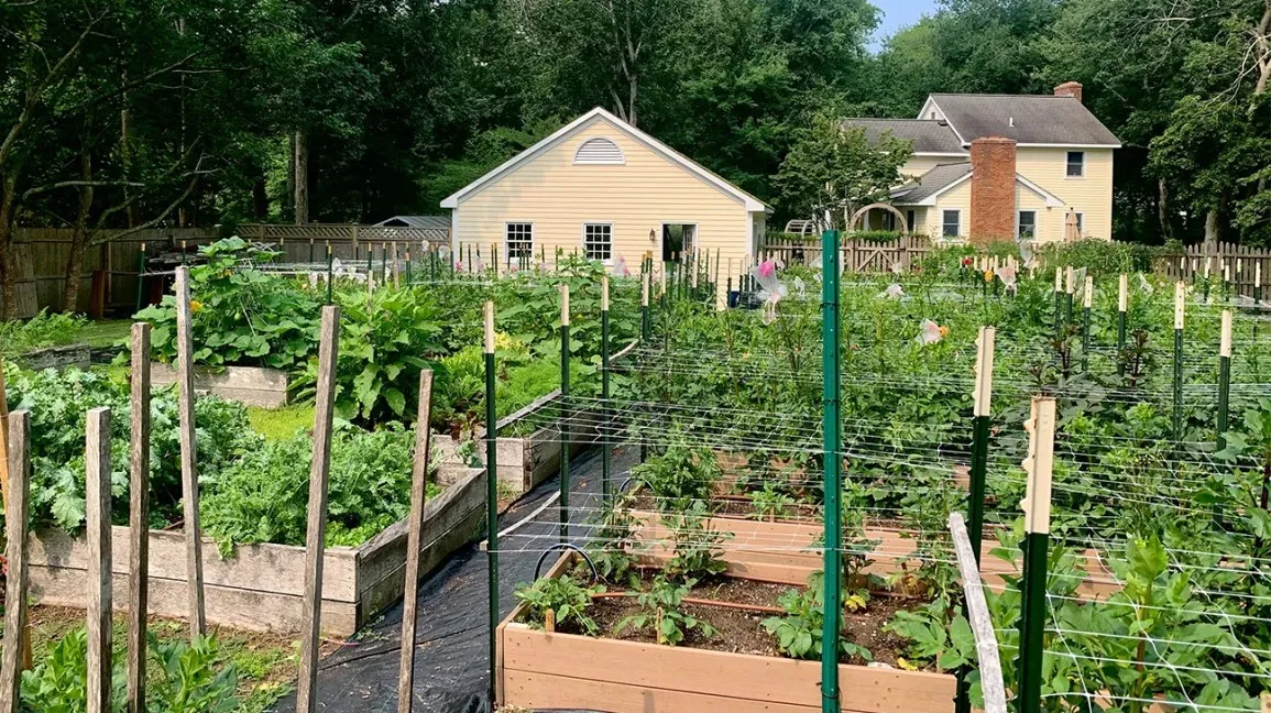 This Dietitian Created a Verdant Backyard Farm — Here's How