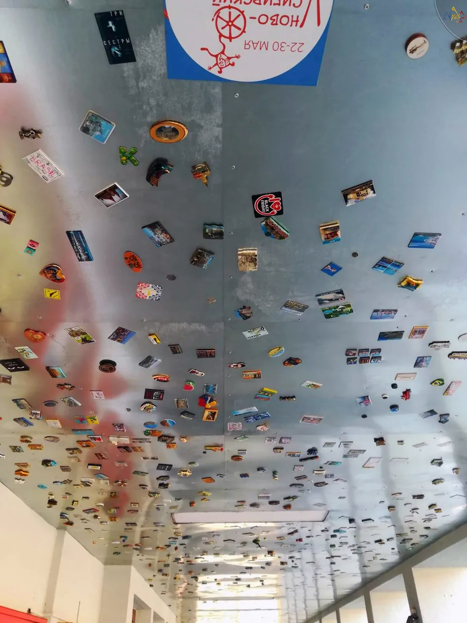 96418864_559635718320539_4457108912788733952_n.jpg