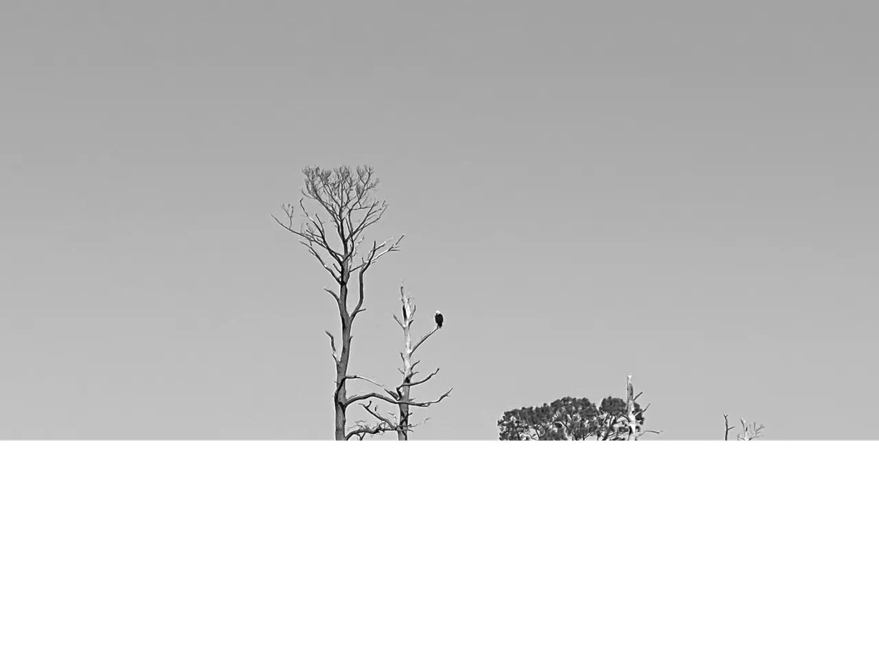 Screen Shot 2021-03-14 at 3.12.22 PM.png