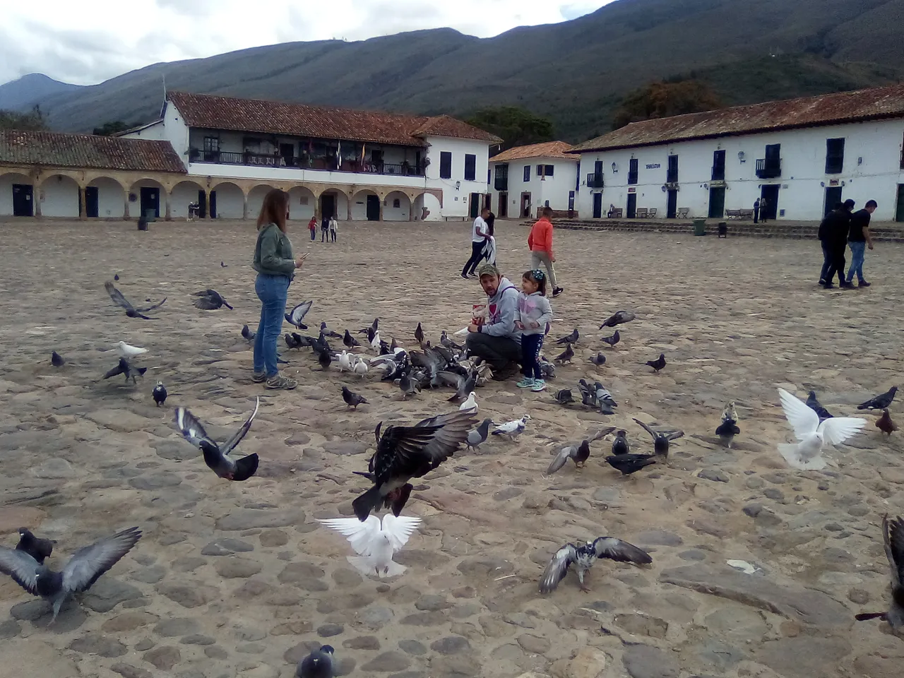 steemit fotos de aves y varios 007.jpg