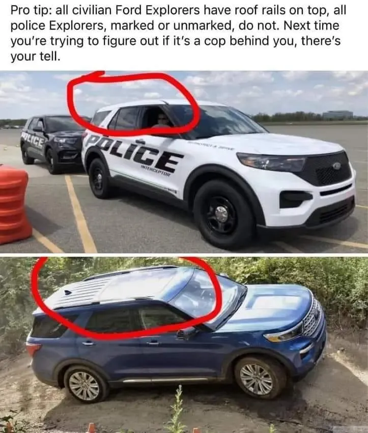 original-2C3A910F-5FA1-4349-BC65-D7D3AFFE8529.jpeg