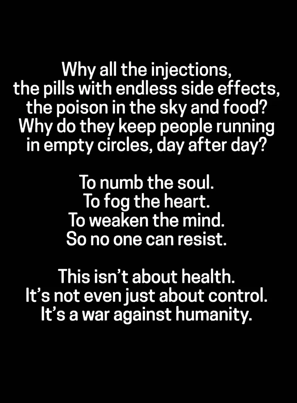 original-16438078-E98B-4FEC-BC10-D9952518A5F3.jpeg