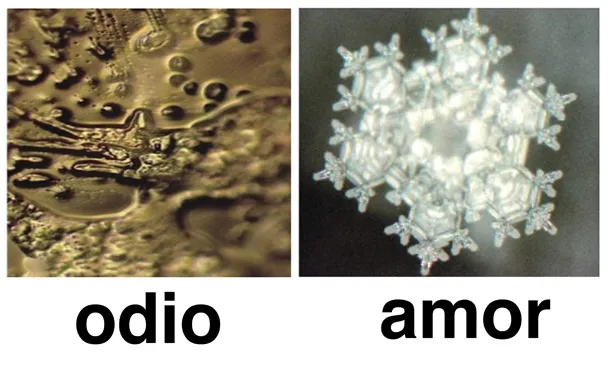 Masaru-Emoto-agua-odio-amor-Particulas-de-Agua.jpg