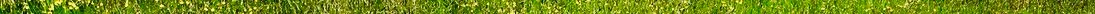 valley_blossom_forge_by_somadjinn-dc90p14 3.jpg