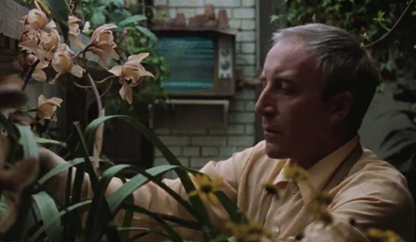 illuminati-movies-being-there-chance-gardener.jpg