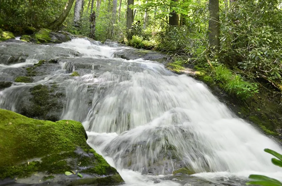 Great Smoky Mountains National Park.5.jpg