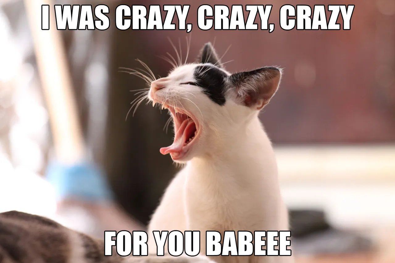 U5dr7vg6r2H1yKccBZG7d4QfE4J9jY9_1680x8400.jpg.png