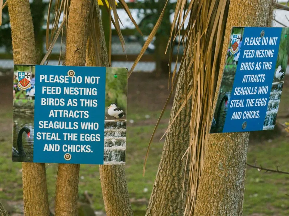 skynews-unfriendly-sign-dawlish-devon_4171150.jpg