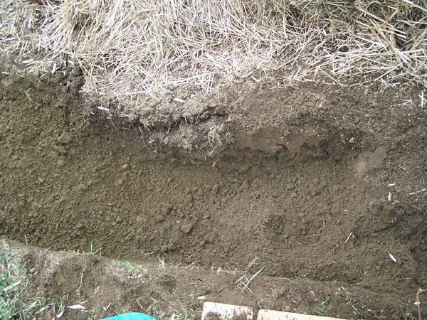 Trench - how deep crop April 2018.jpg