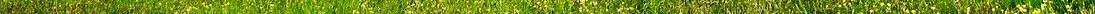 valley_blossom_forge_by_somadjinn-dc90p14 2.jpg