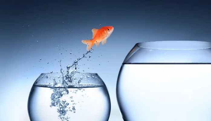 paradigm shifting bowl expansion fish.jpg