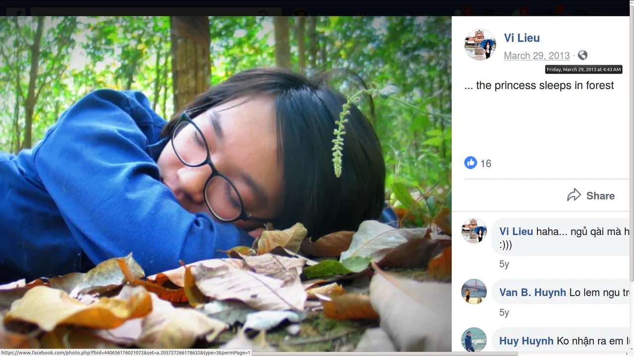 Hoang Vi Lieu 2013-03-29 Friday 04:43 AM Princess Sleeps in the Forest Screenshot at 2019-02-24 23:08:41.png
