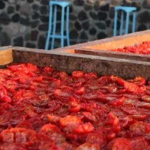 Sun Dried Tomatoes