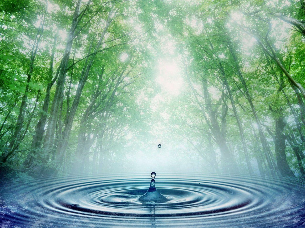 Resultado de imagen para paradoja del agua y los diamantes