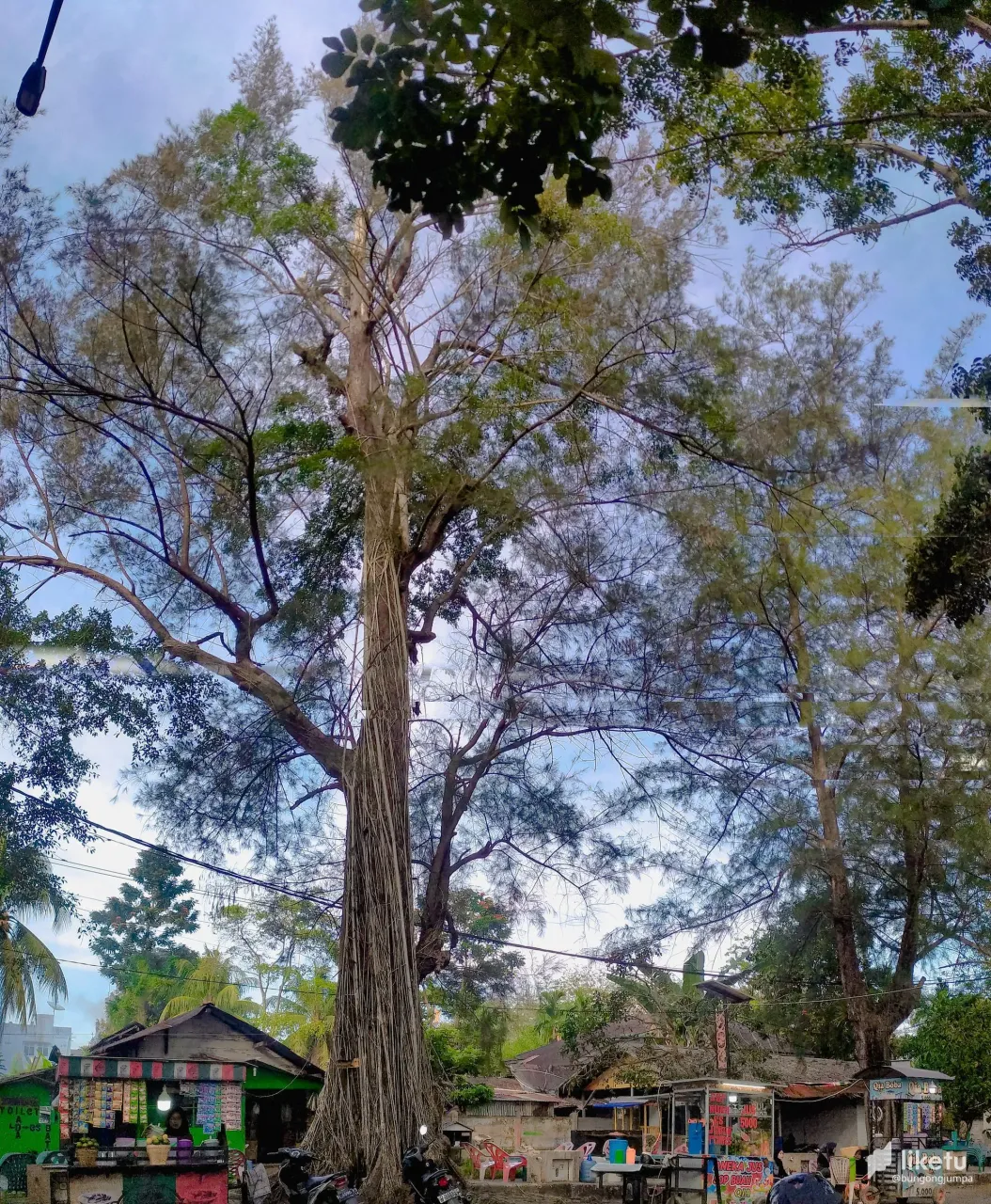 405opjwkzle2iic_PANO_20220213_165221.jpg