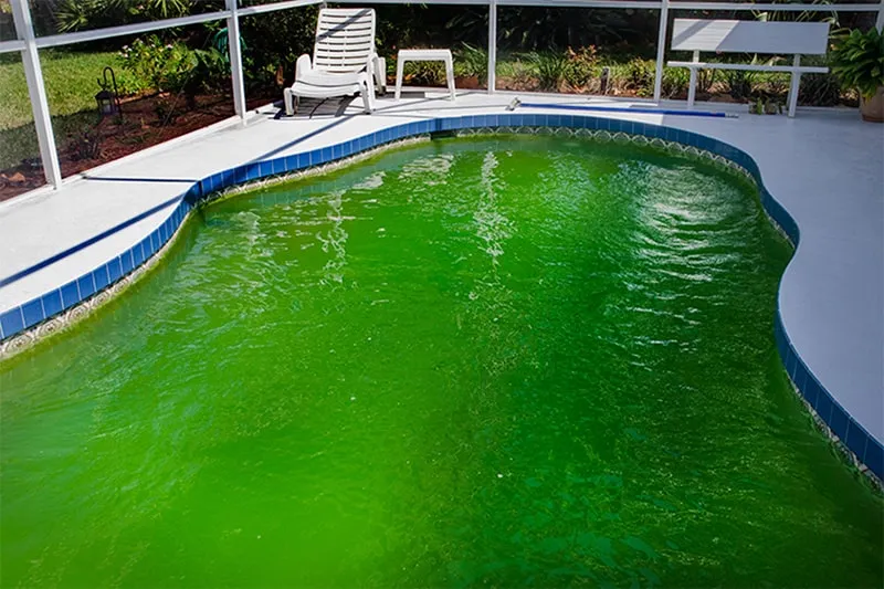 nước bể bơi bị màu xanh
