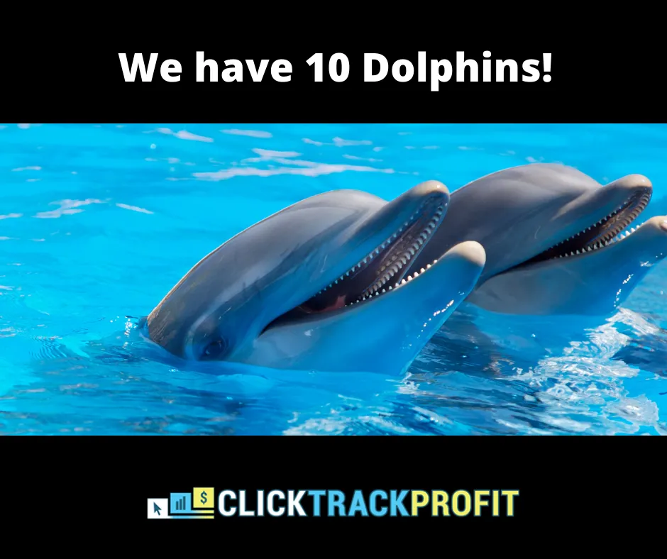 ctp 10 dolphins.png