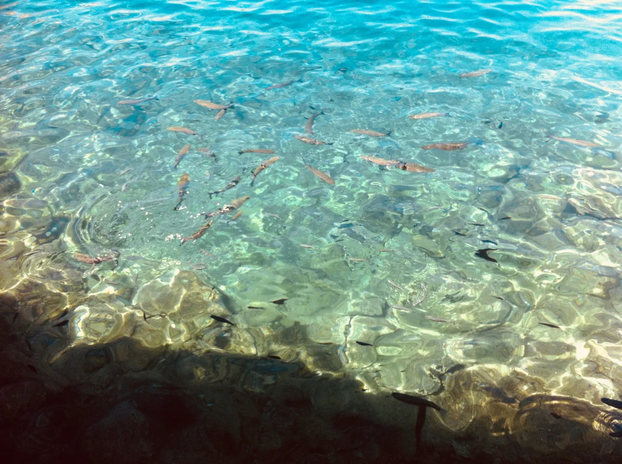 i_2012072908222545.jpg