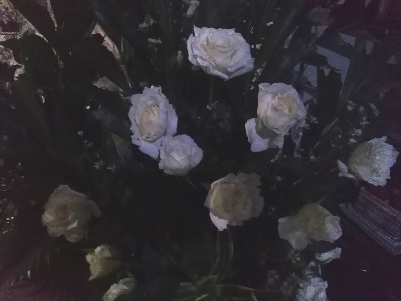 IMG_20201016_211751.jpg