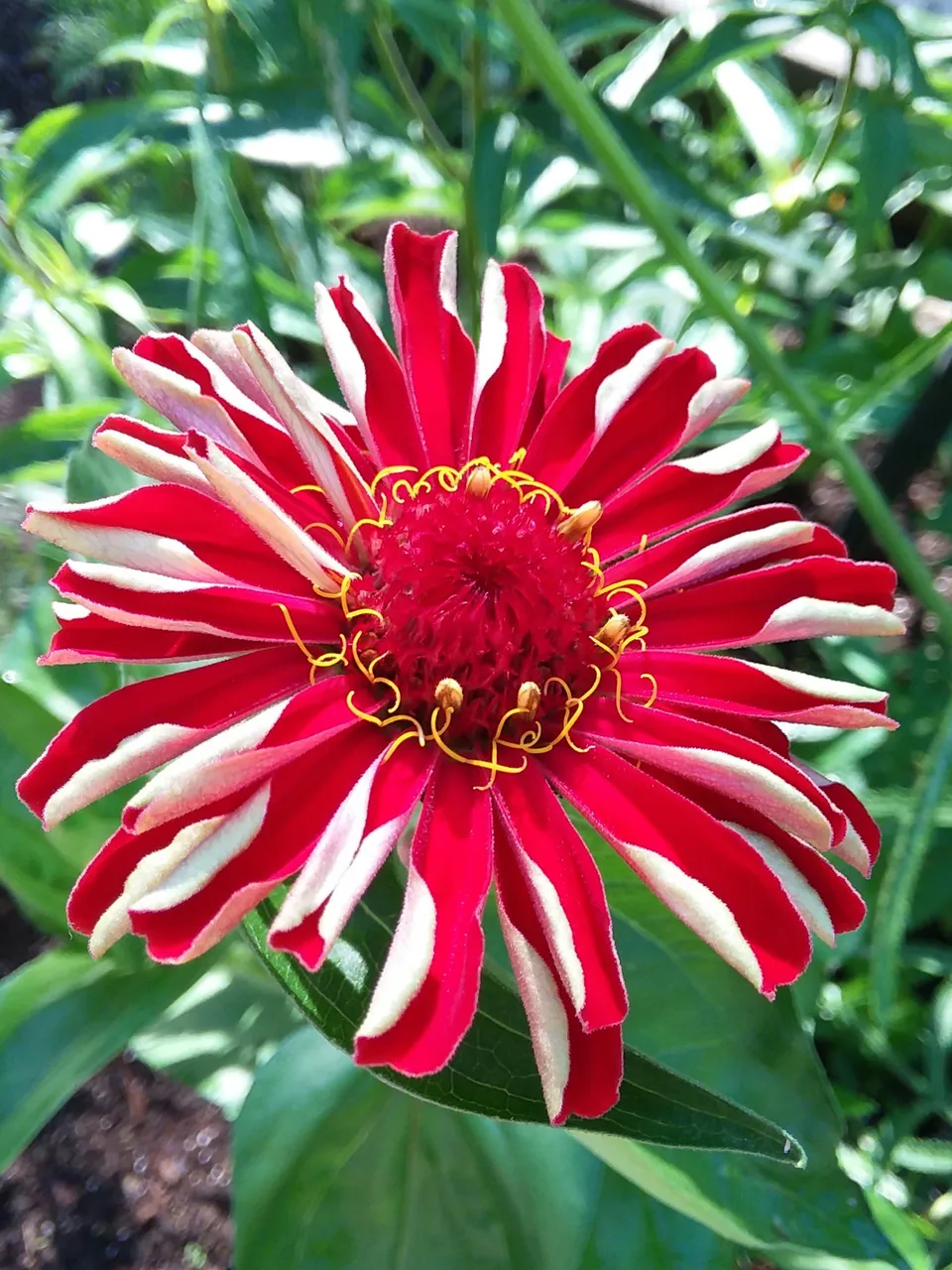 20190708_083336.jpg