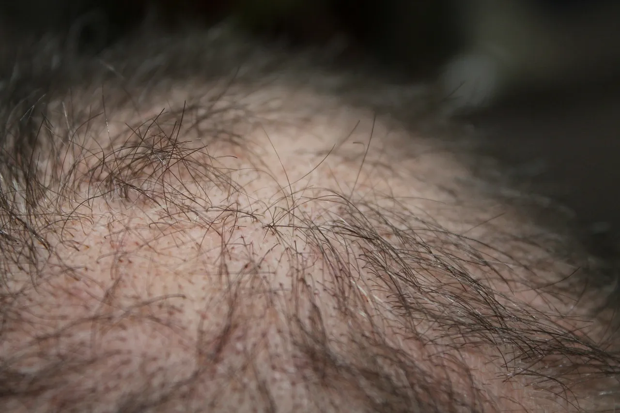 hair248048_1920.jpg