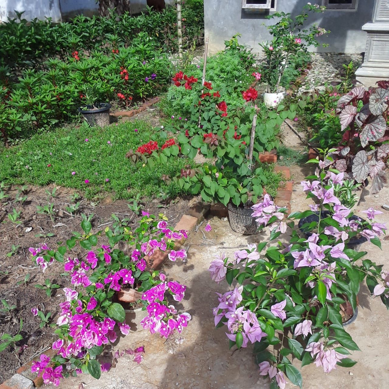 IMG20200508WA0002.jpg