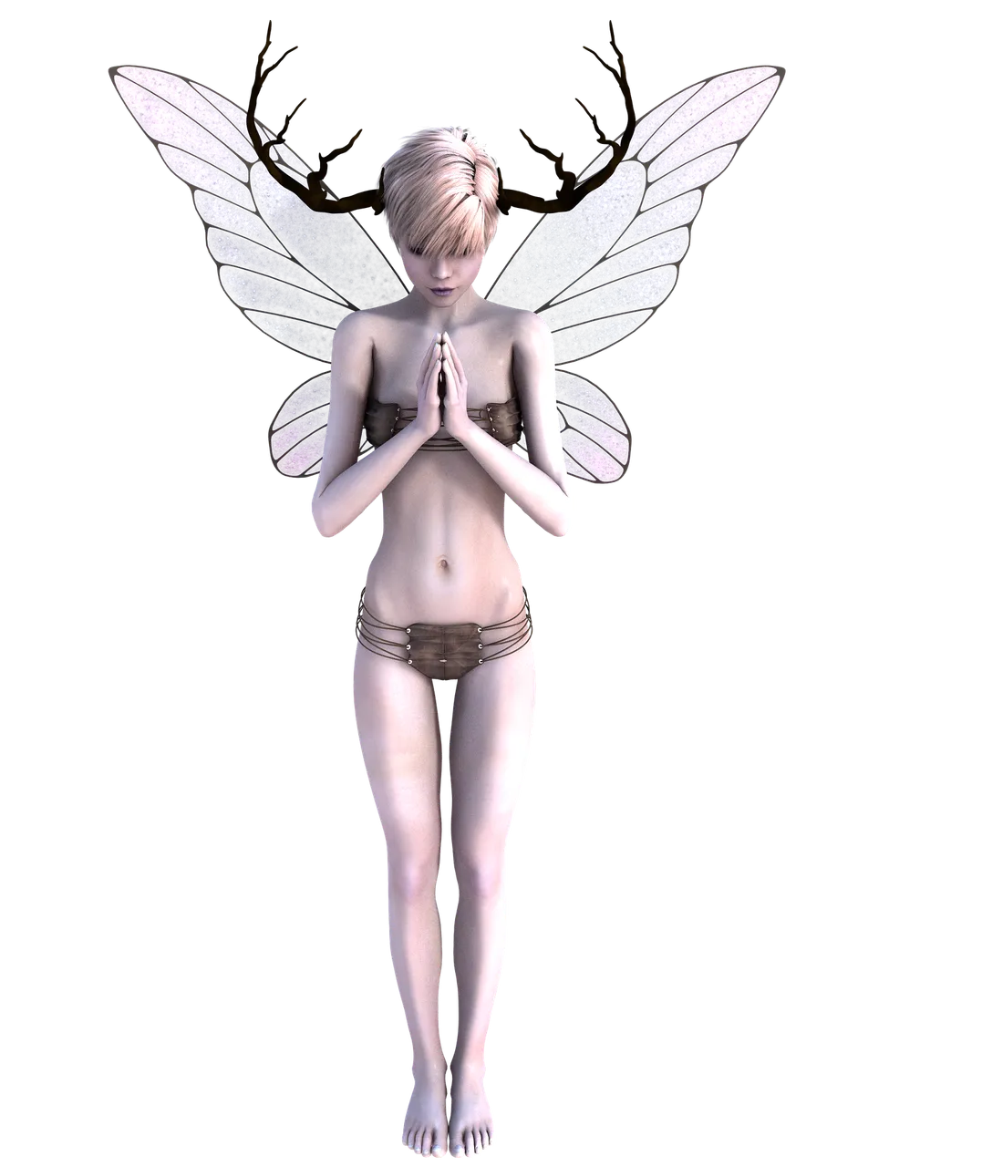 fae2846925_1920.png