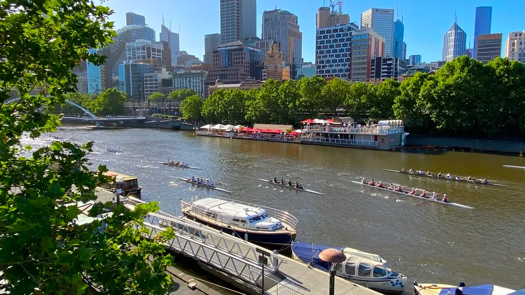 yarra rowers.jpg
