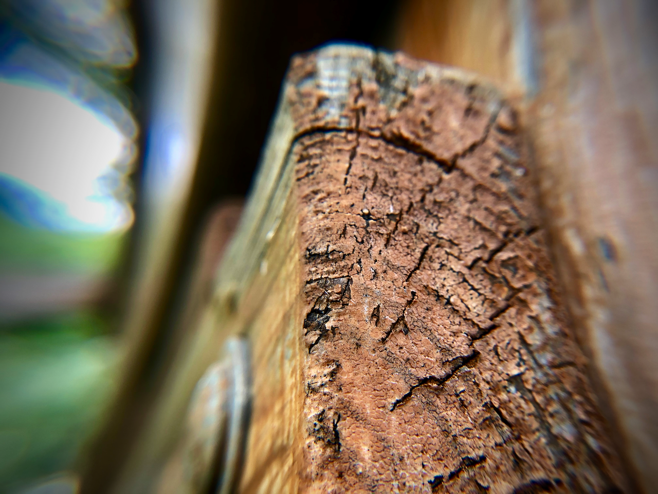e 6.9.20 macro copy.png