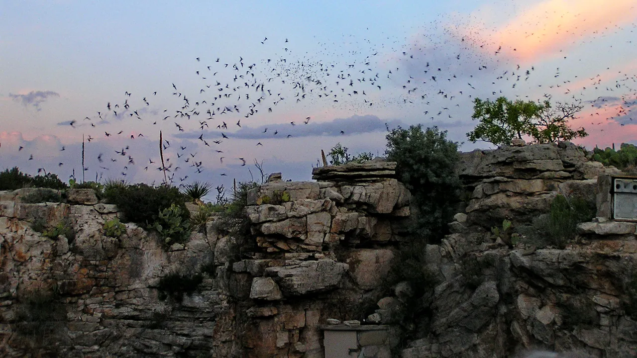 carlsbad caverns 20.JPG