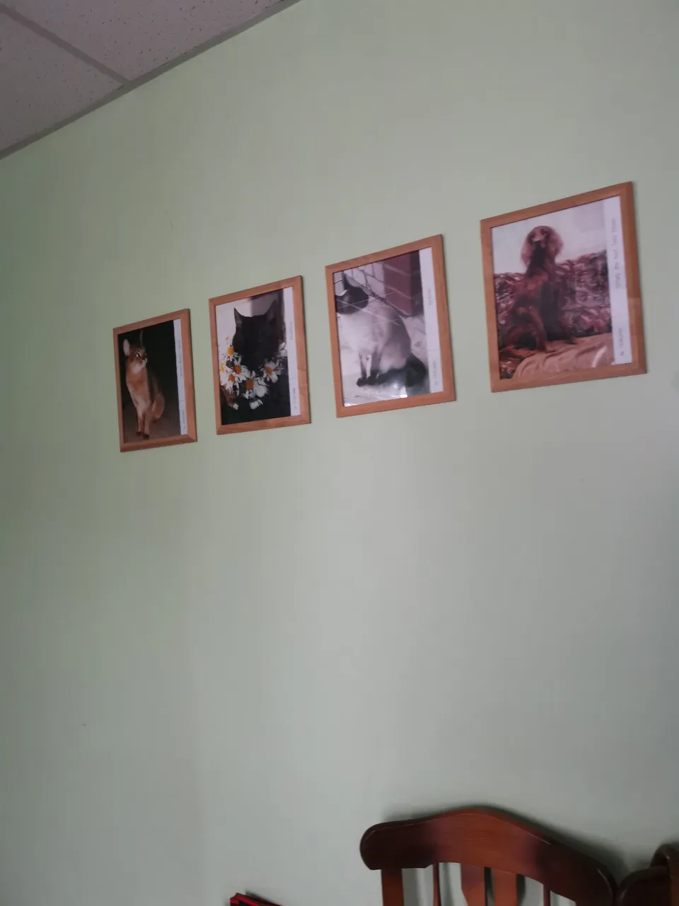 IMG_20200902_092808.jpg