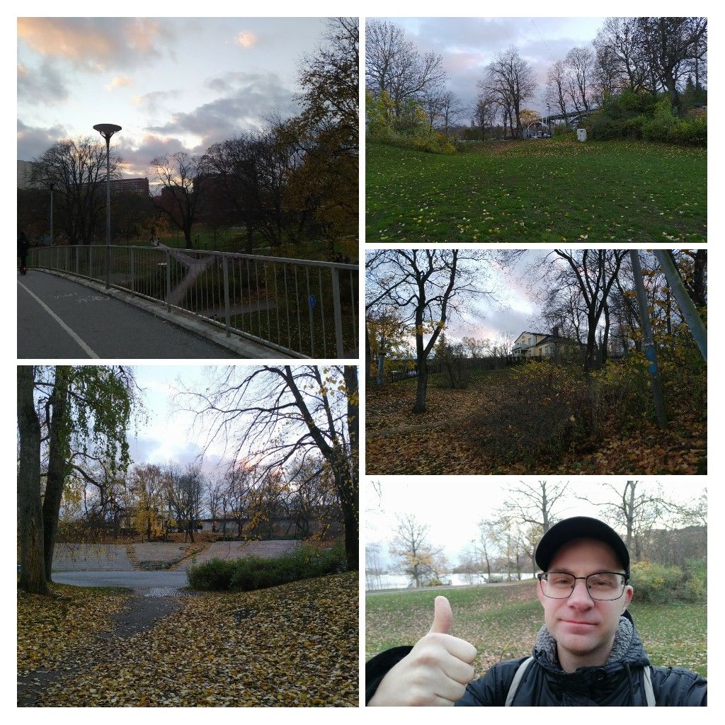 20201105_135307COLLAGE.jpg