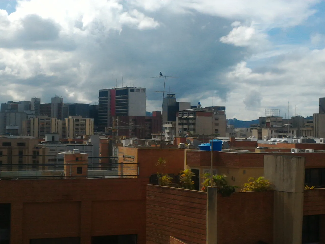 IMG_20200807_093255.jpg