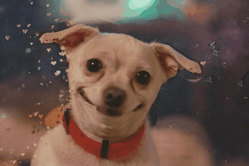 20200722_213931.gif