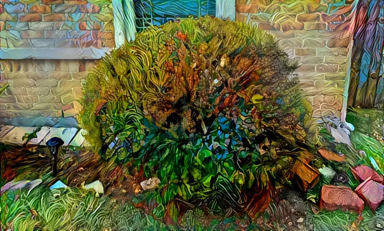 FrontYardBush.jpg