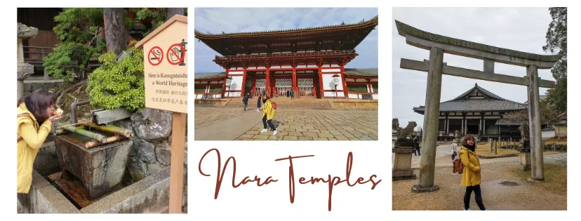 nara temples.png