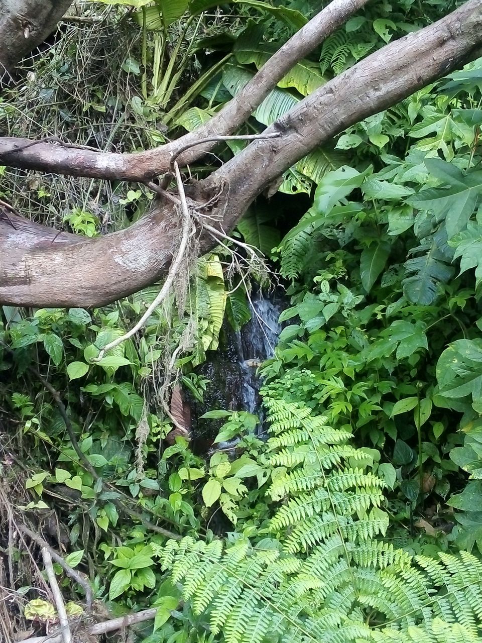 IMG_20201129_090802.jpg